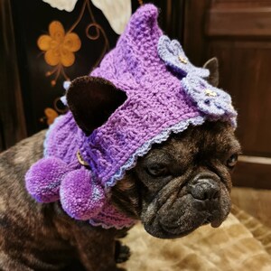 Puede incluir: Un bulldog francés marrón y negro con un gorro de ganchillo morado con un diseño floral y pompones a juego.
