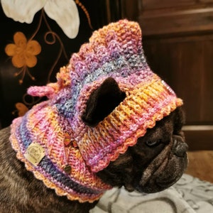 May include: A brown and black French Bulldog wearing a colorful crocheted dog sweater with a butterfly charm. The sweater is a mix of pink, orange, purple, and blue.