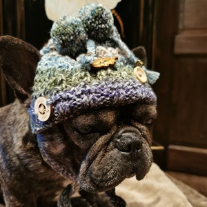 Knitted hat/dog hat cuddly wool with pompoms/paw beads/wooden buttons for medium-sized dogs/French bulldog/pug/Boston terrier