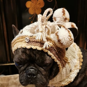 Könnte beinhalten: Ein schwarzer French Bulldog trägt eine handgefertigte Häkelmütze und einen Halsschmeichler. Die Mütze ist cremefarben, braun und beige mit Bommeln und Holzknöpfen. Der Halsschmeichler hat einen gewellten Rand.