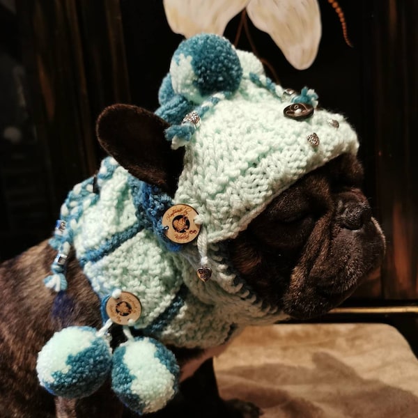 Dog hat/button scarf set (2 pieces) hand-knitted cuddly wool with bobbles/wooden buttons for medium-sized dogs/French bulldog/pug