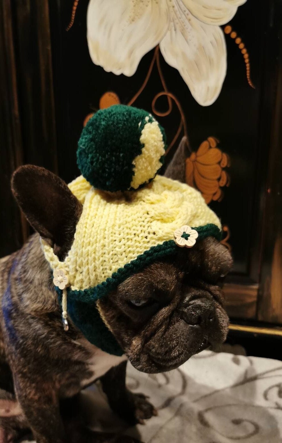 Knit hat/dog hat cozy merino wool coconut buttons for medium sized dogs/French Bulldog/Pug/Boston Terrier