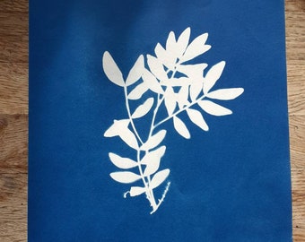 Cyanotype botanical print