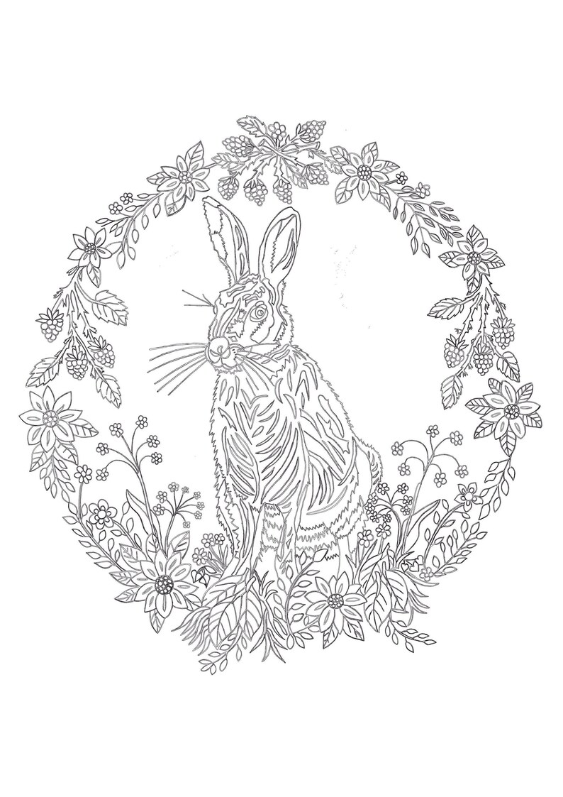 Hare Colouring Page | Etsy