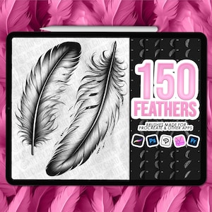 Feather tattoo Procreate stamps. Feathers Procreate tattoo brushes. Procreate feather brushes. Photoshop tattoo brushes