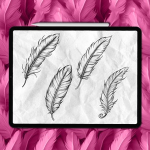Feather tattoo Procreate stamps | Feathers Procreate tattoo brushes | Procreate feather brushes | Procreate feather tattoo stamps