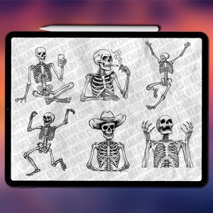 Skeleton Procreate stamps | Procreate skull stamps | Procreate skeleton stamps | Photoshop skull brushes | Clip Studio Paint skull stamps