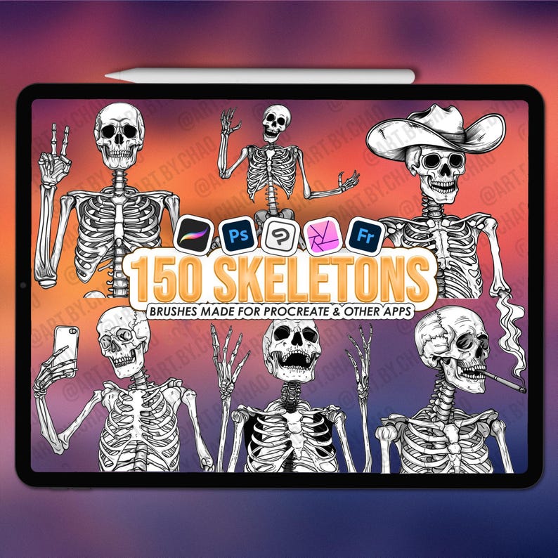 Skeleton Procreate stamps | Procreate skull stamps | Procreate skeleton stamps | Photoshop skull brushes | Clip Studio Paint skull stamps