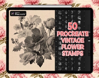 Procreate vintage flower stamps | Procreate vintage stamps | Procreate flower stamps | Procreate floral stamps | Vintage Procreate brushes