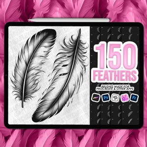 Feather tattoo Procreate stamps. Feathers Procreate tattoo brushes. Procreate feather brushes. Photoshop tattoo brushes