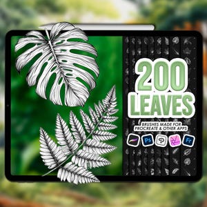 Leaves Procreate stamps. Procreate leaf stamps. Leaves tattoo Procreate brushes. Photoshop leaf stamps. Photoshop leaves brushes