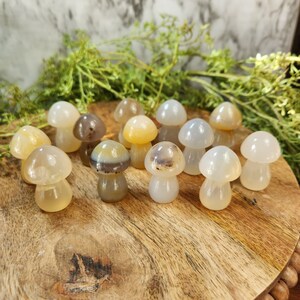 Agate Mushrooms - Small Crystal Mushrooms - Crystal Mushroom Carving - Agate Mushroom Carving