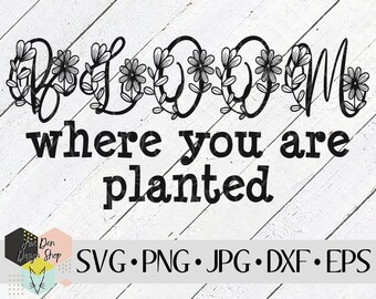 Bloom Where You Are Planted SVG, file SVG per Cricut, file Silhouette, file tagliati, SVG floreale, svg di primavera, file dxf per laser, decalcomania in vinile