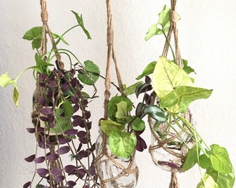 Macrame mason jar hanger, plant propagation hanger, plant lover gift
