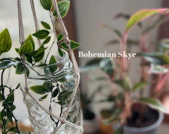 Macrame Mason Jar Plant Hanger, Propagation Station, Plant Lover Gift