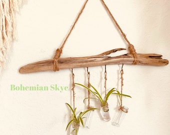 Cintre de propagation de plante d'art en bois flotté, idée cadeau pour amoureux des plantes, fait main