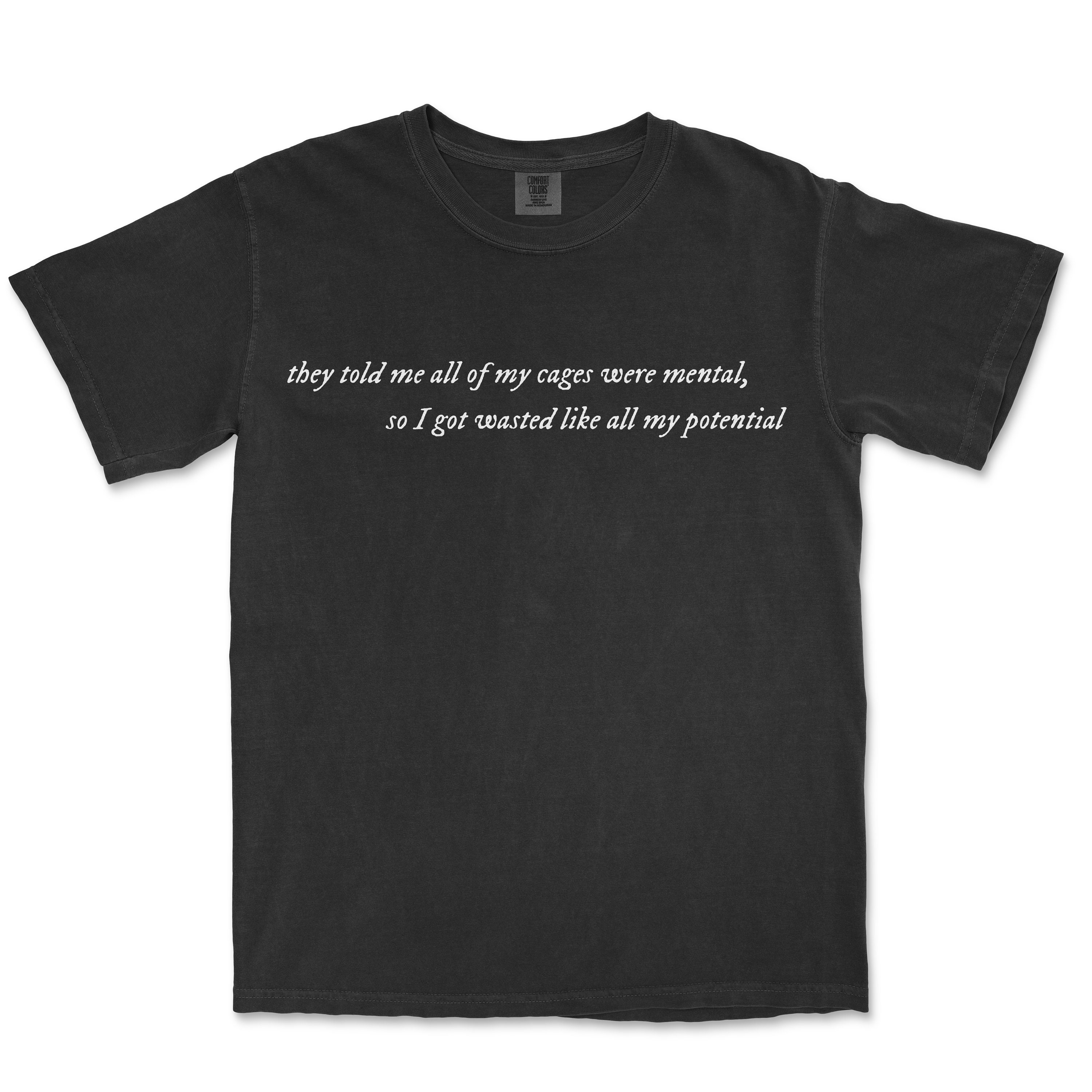 Taylor Swift Custom Lyric T-Shirt | Etsy