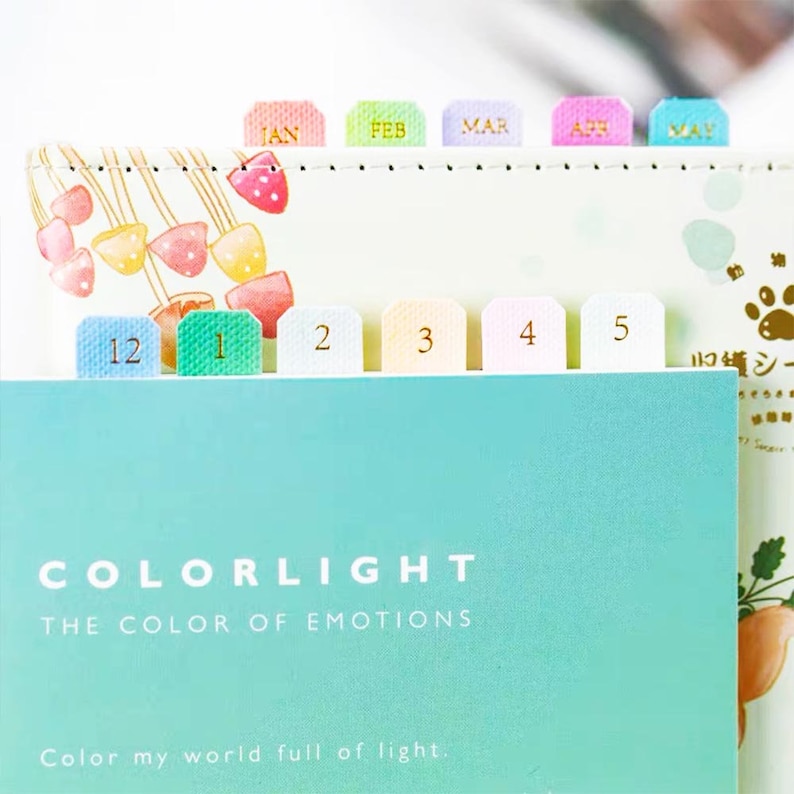 May include: A set of colorful index tabs with the months of the year and numbers 1 through 5. The tabs are on a light blue background with the text "COLORLIGHT THE COLOR OF EMOTIONS" and "Color my world full of light."