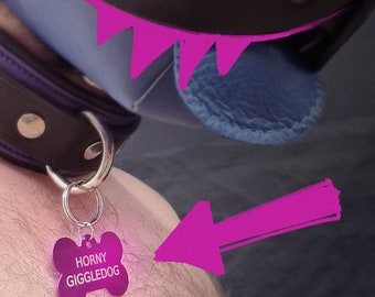 Custom Laser Engraved Collar Tags, Anodized Aluminium