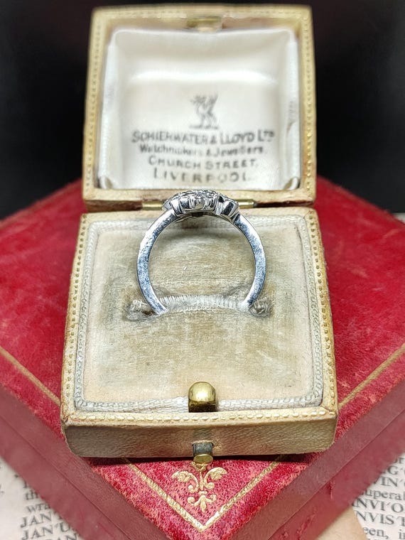 Beautiful Statement Modern Skillfully Crafted Nat… - image 5