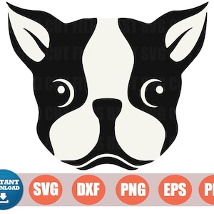 Boston Terrier Dog Graphics SVG Dxf EPS Png Cdr Ai Pdf Vector Art Clipart instant download Digital Cut Print File Cricut Silhouette Decal