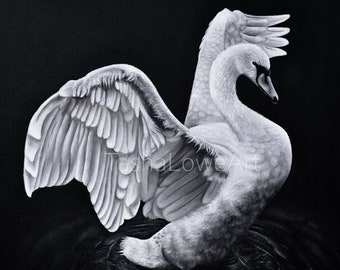 Impresión de cisne / 8"x8" / 11"x11" / Obra original de Tasha Lowe