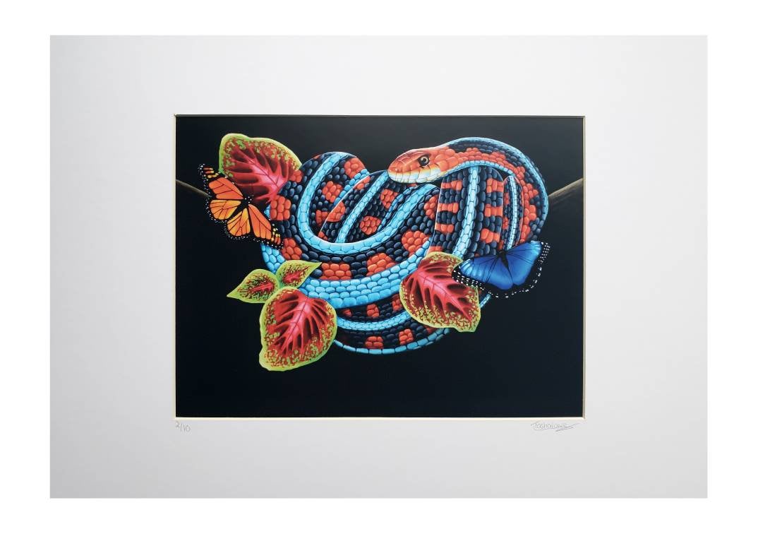 San Francisco Garter Snake Painting Limited Edition Print by Tasha Lowe -  Etsy