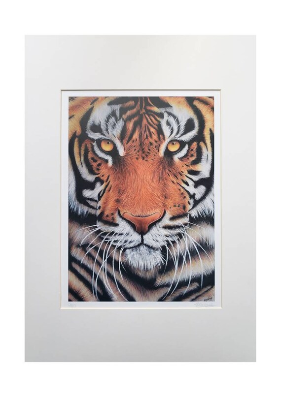 Tiger Portrait Drawing Limited Edition Print by Tasha Lowe - Etsy