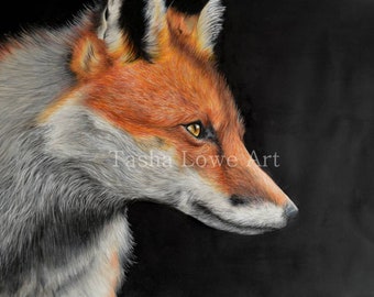 Impressão de edição limitada do Fox Portrait Drawing por Tasha Lowe