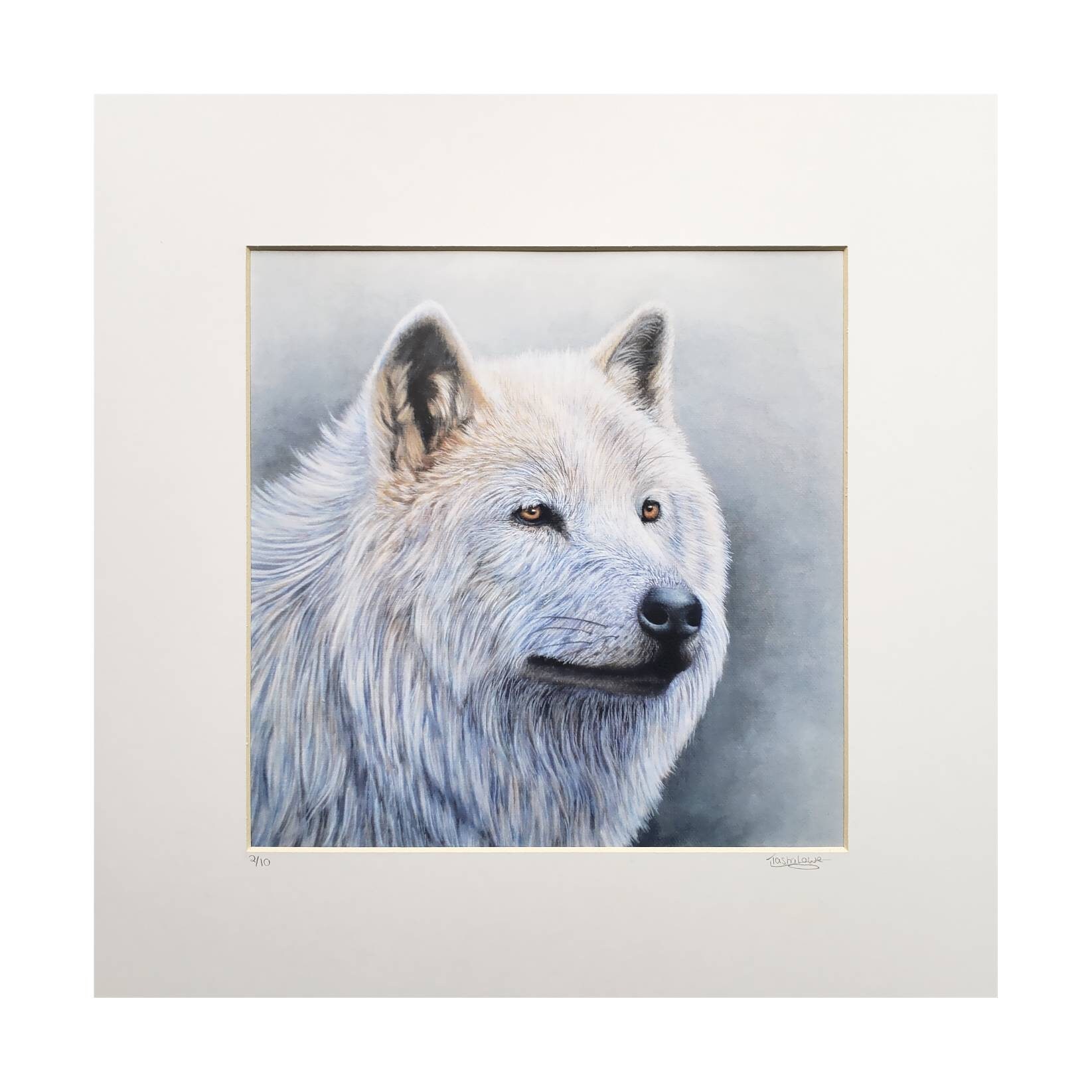 MTG Tundra Wolves アーティストプルーフ　アート　油絵　海 Wolf, lightning, light, storm, blue, canine, beautiful, colorful