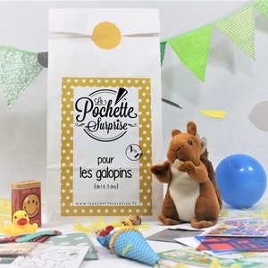 Pochette surprise pour enfant de 1 à 3 ans / cadeau pour tout-petits /pochette garnie /cadeau enfant personnalisé/cadeau anniversaire unique