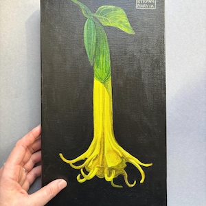 Original Datura Flower Oil Painting – Angel&#39;s Trumpet Botanical Art on Canvas