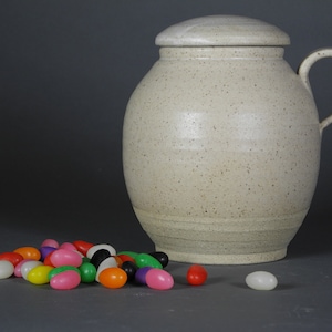 May include: A white ceramic jar with a lid and a handle. The jar is speckled with brown and has a light brown glaze. A pile of colorful jelly beans are in front of the jar.