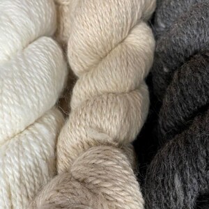 Könnte beinhalten: Nahaufnahme von mehreren Garnsträngen in verschiedenen neutralen Farben. Das Garn ist eng gewickelt und wirkt weich, mit Farbtönen von Creme und Beige bis hin zu Anthrazitgrau. Die Textur deutet auf eine Naturfaser hin, die sich für Strick- oder Häkelprojekte eignet.