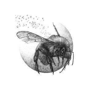 Bumblebee art print