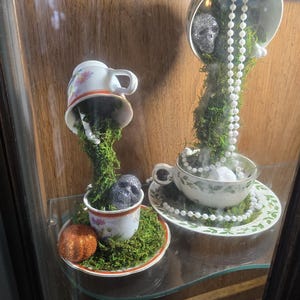 Puede incluir: Dos tazas de té boca abajo con musgo creciendo fuera de ellas. Las tazas de té están en un estante de vidrio en un gabinete de madera. Una taza de té tiene una pequeña calavera brillante dentro. La otra taza de té tiene una cadena de perlas blancas que cuelgan de ella.