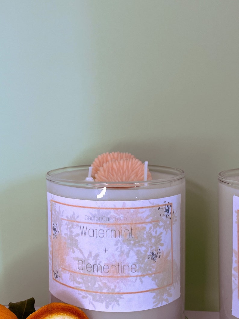 Fruit Loops Candle WaterMint /& Clementine Candle Soy Wax Candles Froot Loops Clementines Home Decor Candle Gift Double Wick
