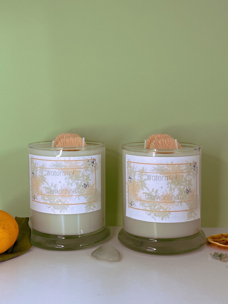Fruit Loops Candle WaterMint /& Clementine Candle Soy Wax Candles Froot Loops Clementines Home Decor Candle Gift Double Wick