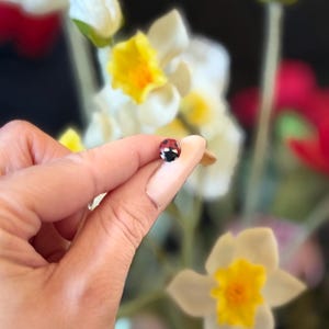 Ladybug pin