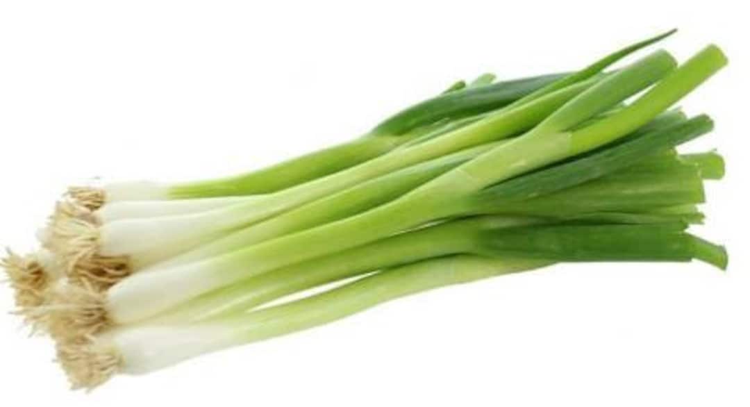 대파 Seeds100 Big Green Onion. Korean Scallion Etsy