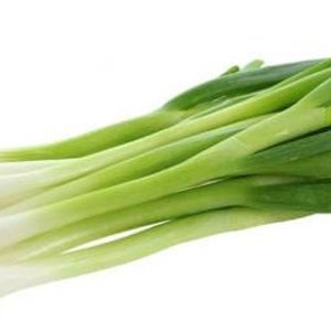 대파 seeds(100+) Big green onion. Korean scallion