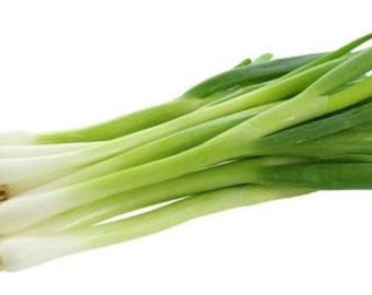 대파 zaden (100+) Grote groene ui. Koreaanse lente-uitjes