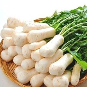 May include: A woven basket filled with fresh white daikon radishes and their green leafy tops. The radishes are smooth and cylindrical, with a creamy white color. The greens are vibrant and healthy, creating a contrast with the white radishes.