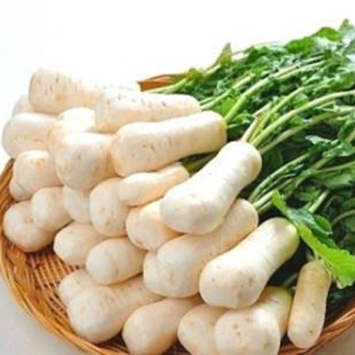 ëŒ€íŒŒ Seeds100 Big Green Onion Korean Scallion Etsy Singapore