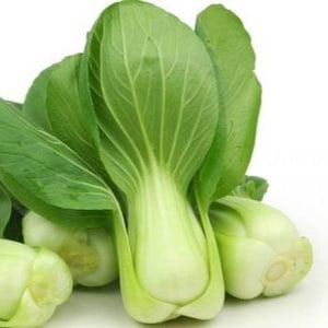 Sementes 청경채 (50+) bok choy