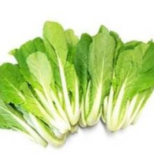 얼갈이 풋배추 seeds (50+) korean young cabbage seeds