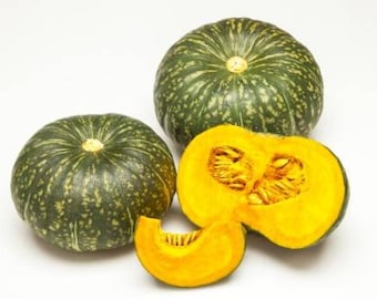 단호박 zaden(5) Kabocha-pompoenzaad van erfstuk