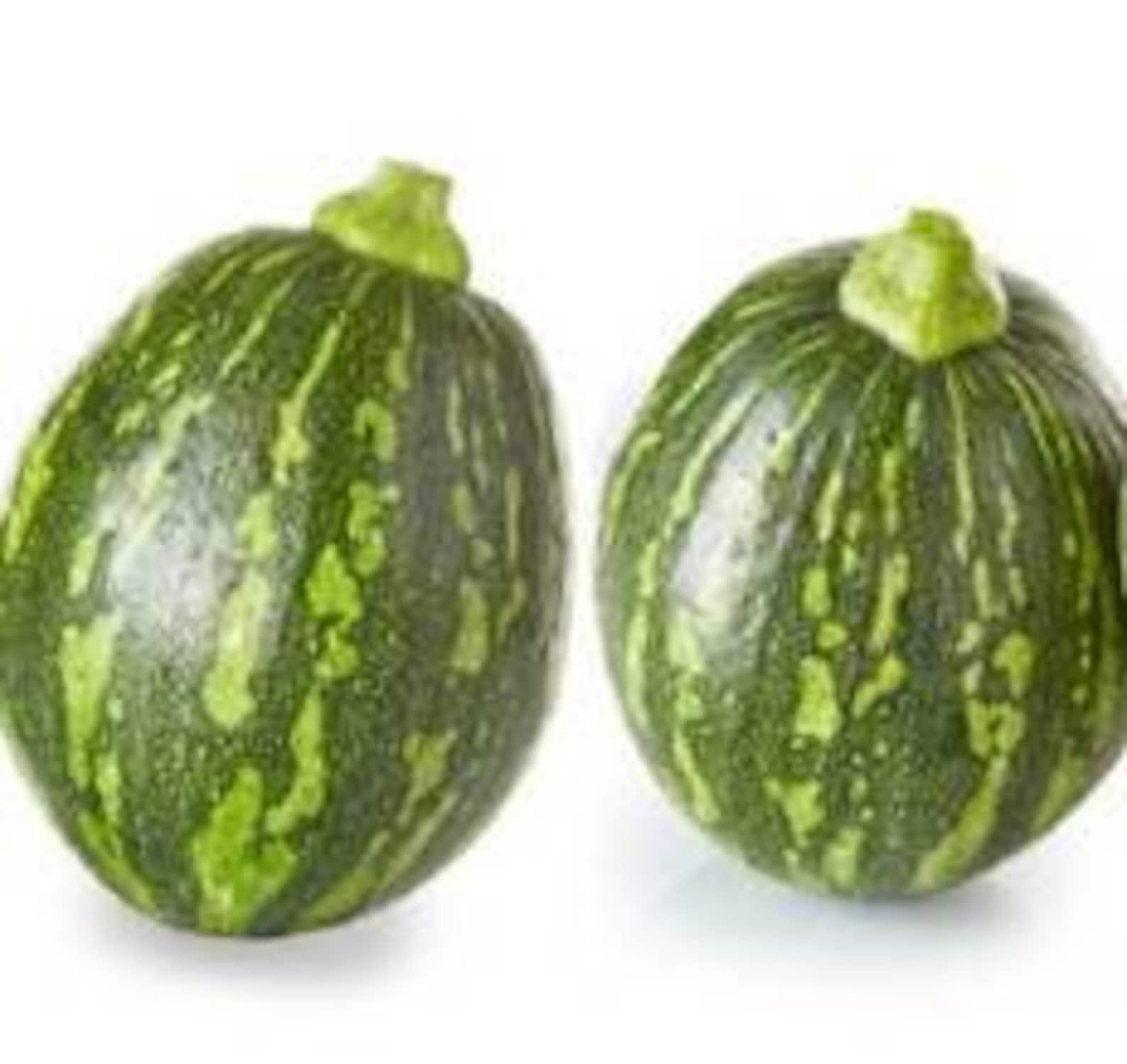 풋호박 Seeds 5 Korean Young Squash Seeds Etsy