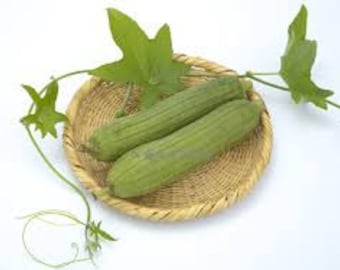 수세미 (5) seeds. Loofah seeds