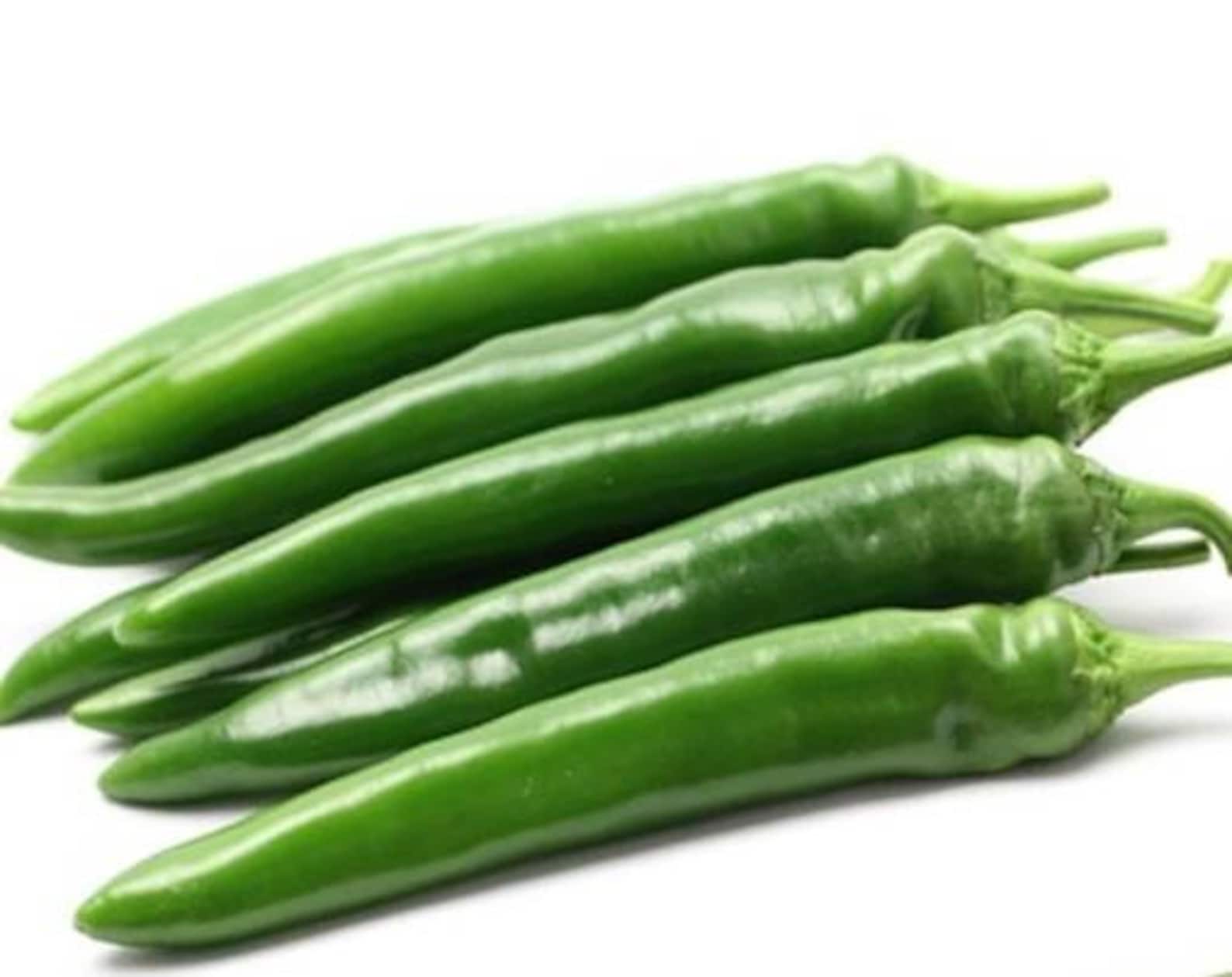 오이고추 Seeds 15 Korean Cucumber Pepper Seeds Etsy Australia